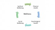 Bridge To Wellness Centers